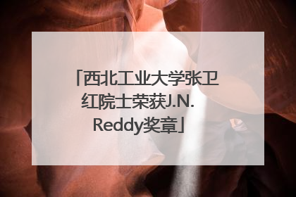 西北工业大学张卫红院士荣获J.N.Reddy奖章