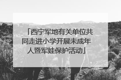 西宁军地有关单位共同走进小学开展未成年人暨军娃保护活动