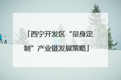 西宁开发区“量身定制”产业链发展策略