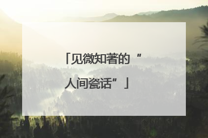 见微知著的“人间瓷话”