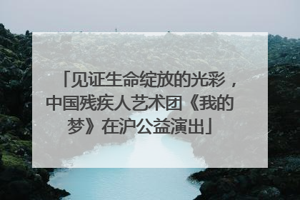 见证生命绽放的光彩，中国残疾人艺术团《我的梦》在沪公益演出