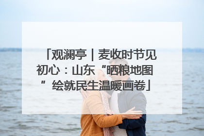 观澜亭｜麦收时节见初心：山东“晒粮地图”绘就民生温暖画卷