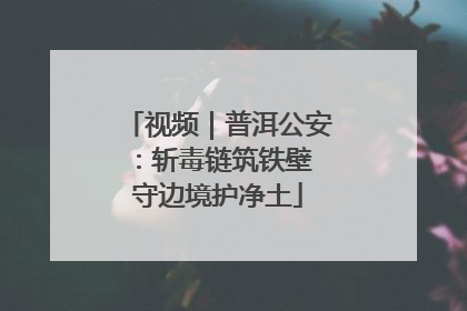 视频｜普洱公安：斩毒链筑铁壁 守边境护净土