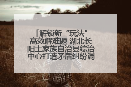 解锁新“玩法” 高效解难题 湖北长阳土家族自治县综治中心打造矛盾纠纷调处“终点站”