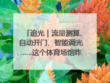 追光｜流量测算、自动开门、智能调光……这个体育场馆咋这么先进？