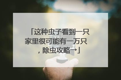 这种虫子看到一只家里很可能有一万只，除虫攻略→
