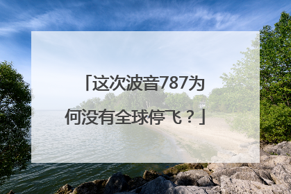 这次波音787为何没有全球停飞？