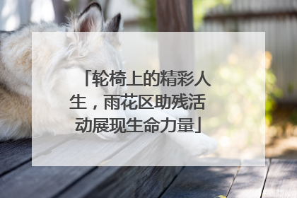 轮椅上的精彩人生，雨花区助残活动展现生命力量