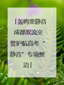 轰鸣变静音 成都双流交警护航高考“静音”专项整治