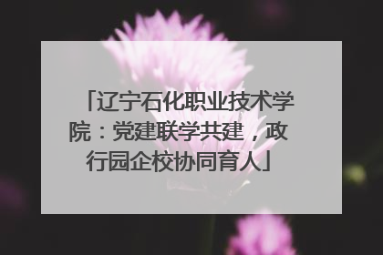 辽宁石化职业技术学院：党建联学共建，政行园企校协同育人