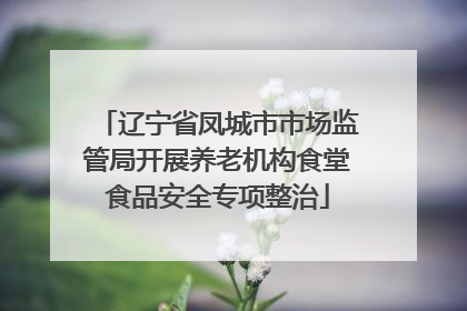 辽宁省凤城市市场监管局开展养老机构食堂食品安全专项整治