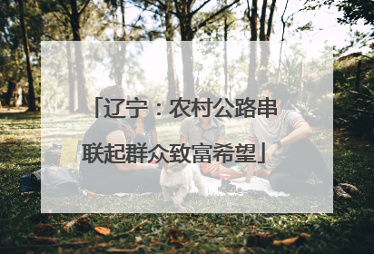 辽宁：农村公路串联起群众致富希望