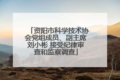 资阳市科学技术协会党组成员、副主席刘小彬 接受纪律审查和监察调查