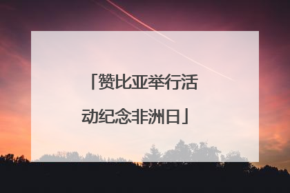 赞比亚举行活动纪念非洲日