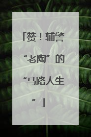 赞！辅警“老陶”的“马路人生”