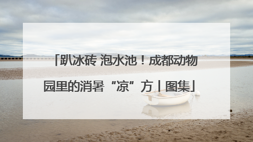趴冰砖 泡水池！成都动物园里的消暑“凉”方丨图集