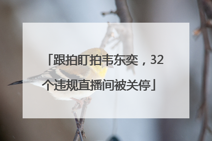 跟拍盯拍韦东奕，32个违规直播间被关停