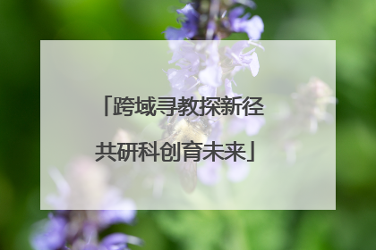 跨域寻教探新径 共研科创育未来