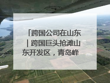 跨国公司在山东｜跨国巨头抢滩山东开发区，青岛峰会拉开帷幕