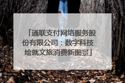 通联支付网络服务股份有限公司：数字科技绘就文旅消费新图景