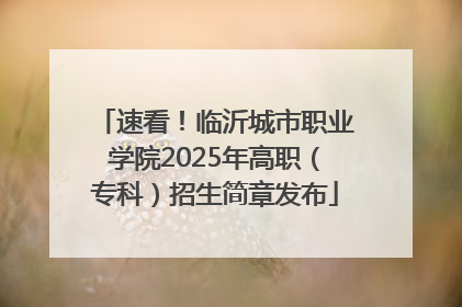 速看！临沂城市职业学院2025年高职（专科）招生简章发布