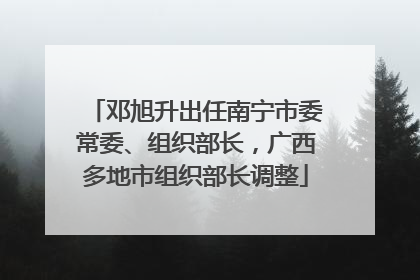 邓旭升出任南宁市委常委、组织部长，广西多地市组织部长调整