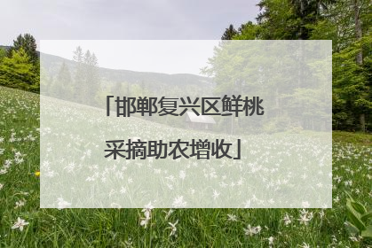 邯郸复兴区鲜桃采摘助农增收