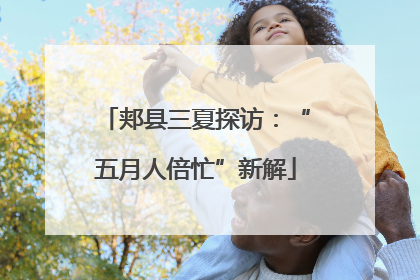 郏县三夏探访：“五月人倍忙”新解
