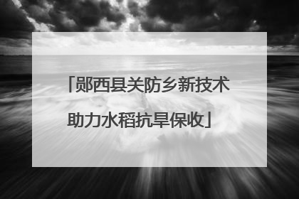 郧西县关防乡新技术助力水稻抗旱保收
