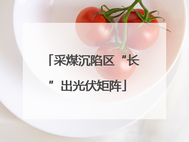 采煤沉陷区“长”出光伏矩阵