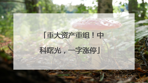 重大资产重组！中科曙光，一字涨停
