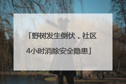野树发生倒伏，社区4小时消除安全隐患