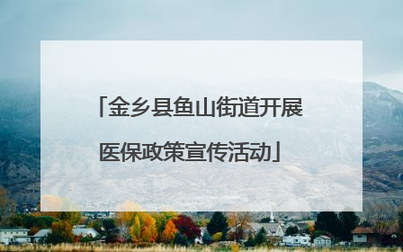 金乡县鱼山街道开展医保政策宣传活动