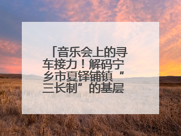 音乐会上的寻车接力！解码宁乡市夏铎铺镇“三长制”的基层治理新实践