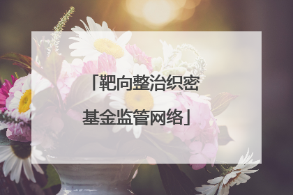 靶向整治织密基金监管网络