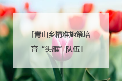 青山乡精准施策培育“头雁”队伍