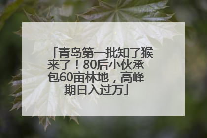 青岛第一批知了猴来了！80后小伙承包60亩林地，高峰期日入过万