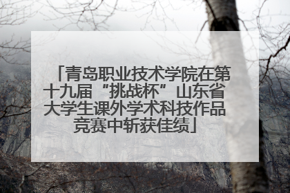 青岛职业技术学院在第十九届“挑战杯”山东省大学生课外学术科技作品竞赛中斩获佳绩