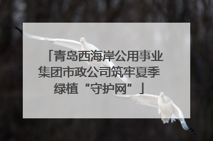 青岛西海岸公用事业集团市政公司筑牢夏季绿植“守护网”