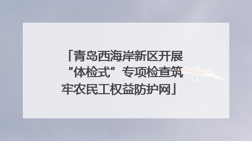 青岛西海岸新区开展“体检式”专项检查筑牢农民工权益防护网