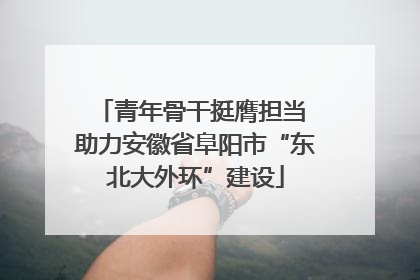 青年骨干挺膺担当 助力安徽省阜阳市“东北大外环”建设