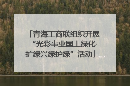 青海工商联组织开展“光彩事业国土绿化·扩绿兴绿护绿”活动