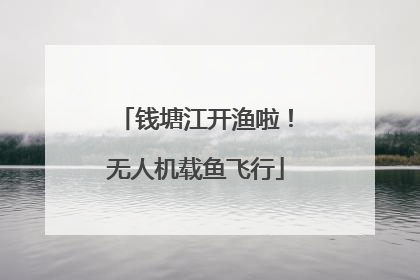 钱塘江开渔啦！无人机载鱼飞行