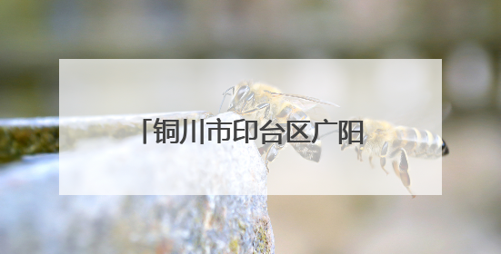 铜川市印台区广阳镇：众志成城战旱情 守护农田保民生