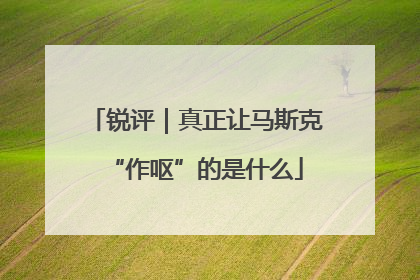 锐评｜真正让马斯克“作呕”的是什么