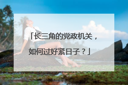 长三角的党政机关，如何过好紧日子？