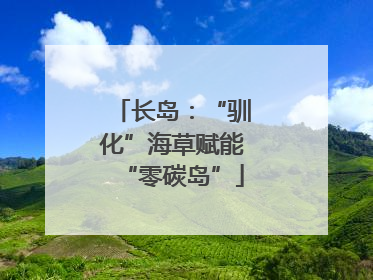 长岛：“驯化”海草赋能“零碳岛”