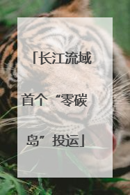 长江流域首个“零碳岛”投运