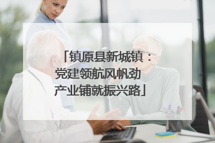 镇原县新城镇：党建领航风帆劲 产业铺就振兴路