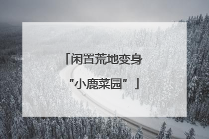 闲置荒地变身“小鹿菜园”
